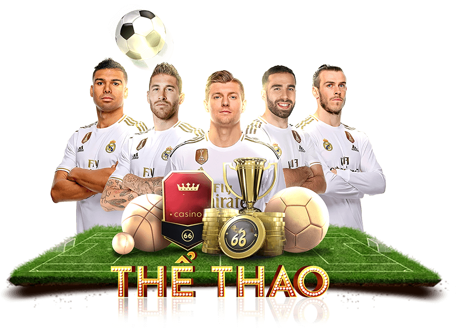 Thể thao New88