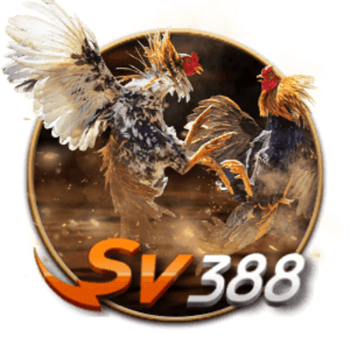 Đá gà New88