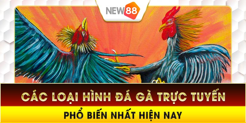Tổng hợp các loại hình đá gà trực tuyến phổ biến hiện nay